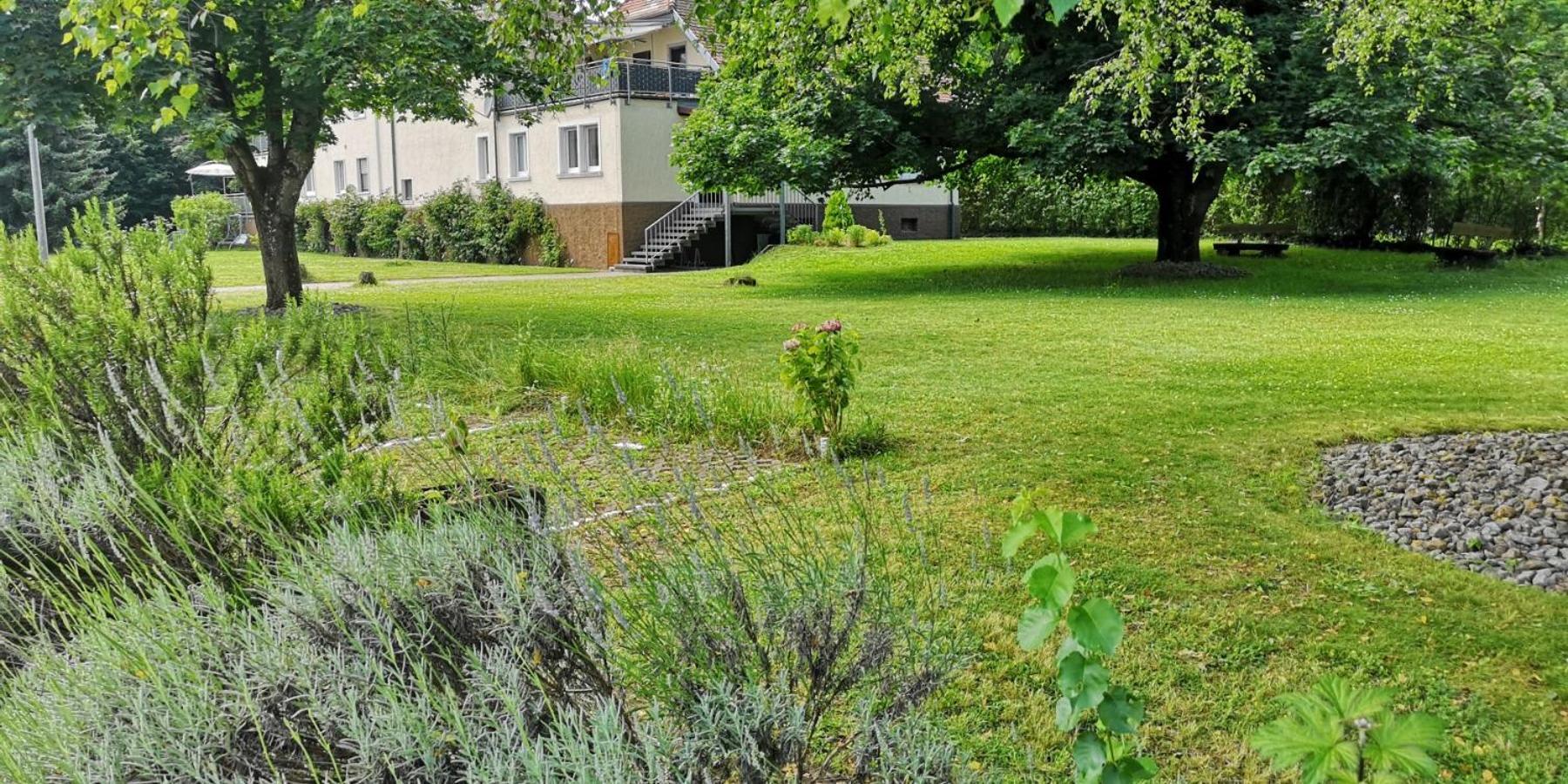 Niederwald Apartment Iffezheim Exterior foto