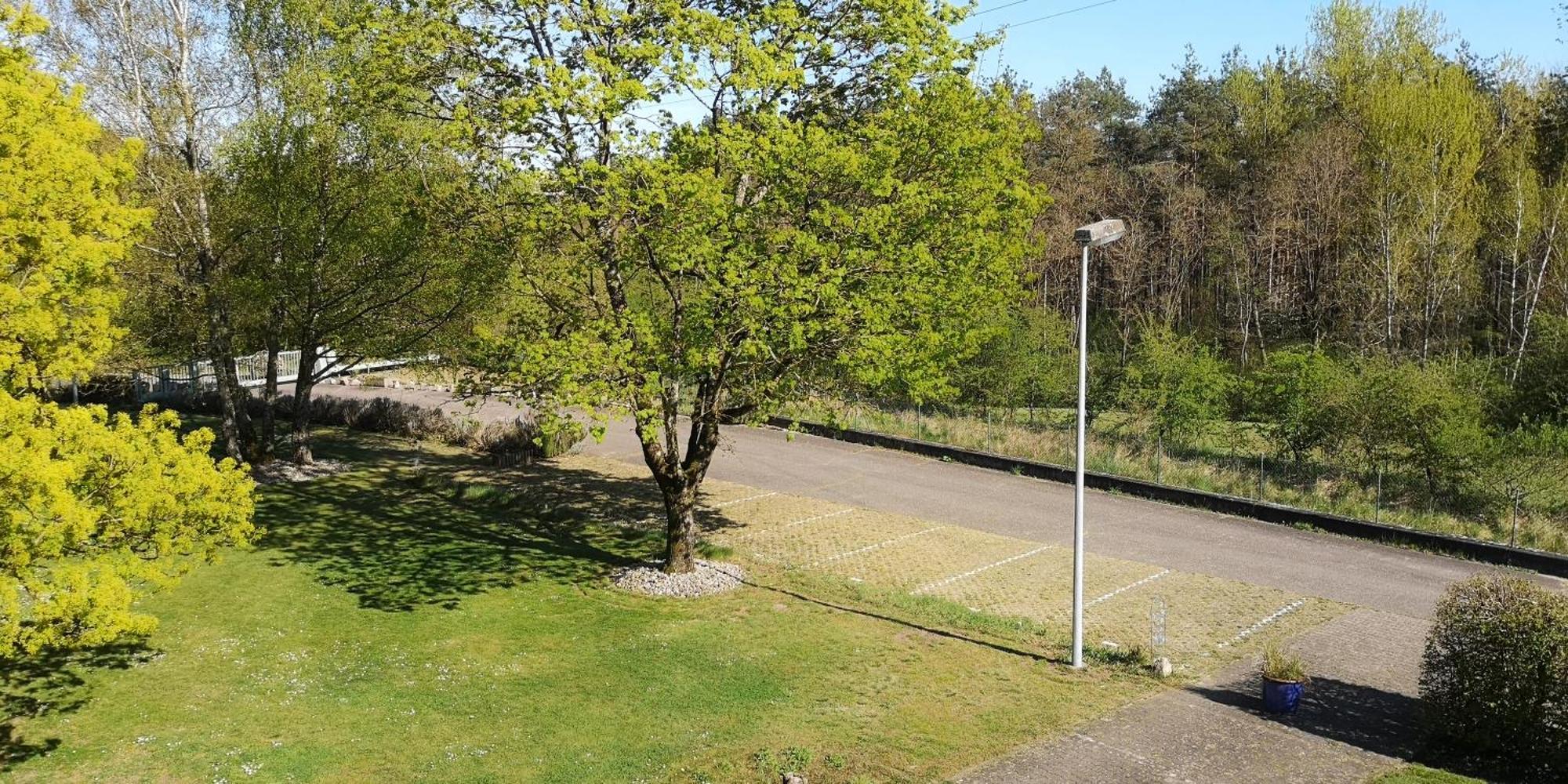Niederwald Apartment Iffezheim Exterior foto